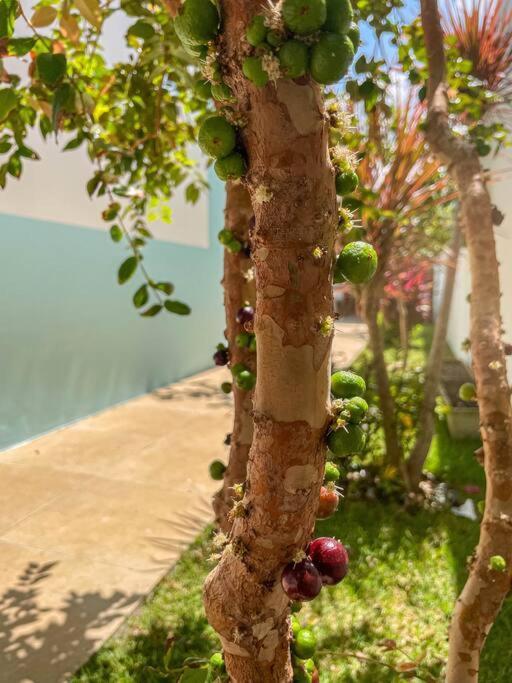 Casa de férias Casa Na - Aruana *